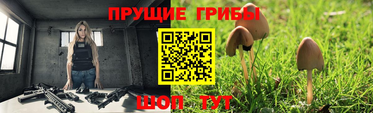 Сургут  Псилоцибиновые грибы мицелий  Вход с VPN  Галлюциногенные грибы прущие грибы 